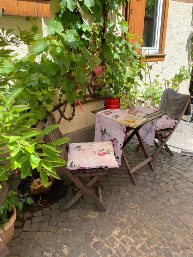 Tante Berg B&B Bad Vilbel Εξωτερικό φωτογραφία