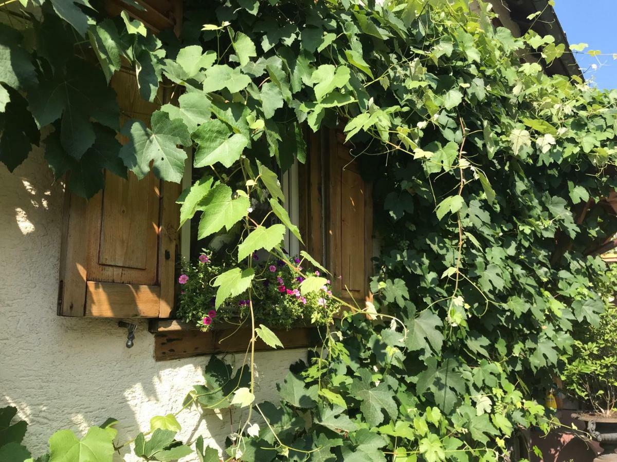 Tante Berg B&B Bad Vilbel Εξωτερικό φωτογραφία